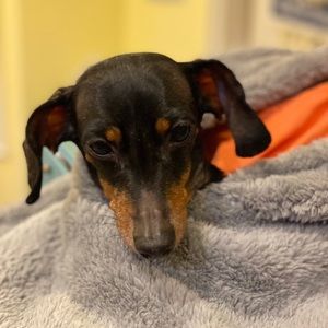 Meet your Posher, Heather